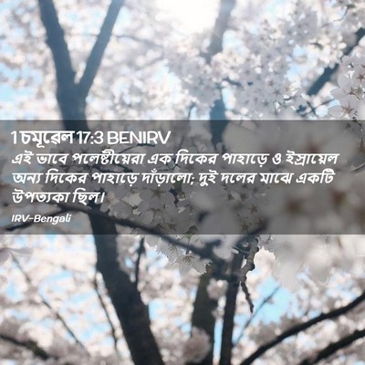 Picture 02 - 1 চমূৱেল 17:3 BENIRV - এই ভাবে - Bible Verse Picture