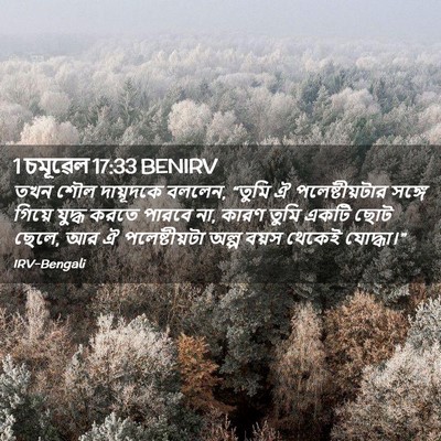 Picture 02 - 1 চমূৱেল 17:33 BENIRV - তখন শৌল দায়ূদকে - Bible Verse Picture