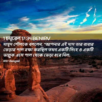 Picture 02 - 1 চমূৱেল 17:34 BENIRV - দায়ূদ শৌলকে - Bible Verse Picture