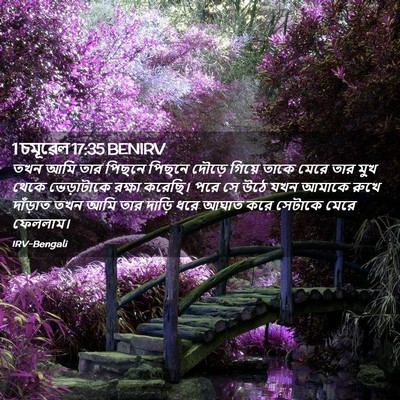 Picture 02 - 1 চমূৱেল 17:35 BENIRV - তখন আমি তার পিছনে - Bible Verse Picture