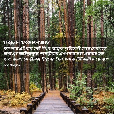 Picture 02 - 1 চমূৱেল 17:36 BENIRV - আপনার এই দাস সেই - Bible Verse Picture