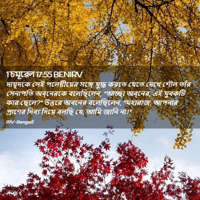 Picture 02 - 1 চমূৱেল 17:55 BENIRV - দায়ূদকে সেই - Bible Verse Picture
