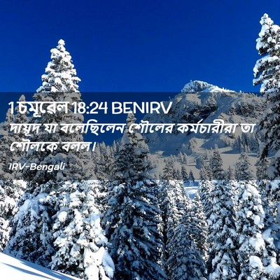Picture 02 - 1 চমূৱেল 18:24 BENIRV - দায়ূদ যা - Bible Verse Picture