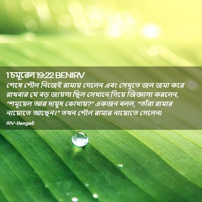 Picture 02 - 1 চমূৱেল 19:22 BENIRV - শেষে শৌল নিজেই - Bible Verse Picture