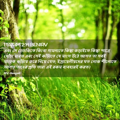 Picture 02 - 1 চমূৱেল 2:14 BENIRV - এবং সে ডেচকিতে - Bible Verse Picture