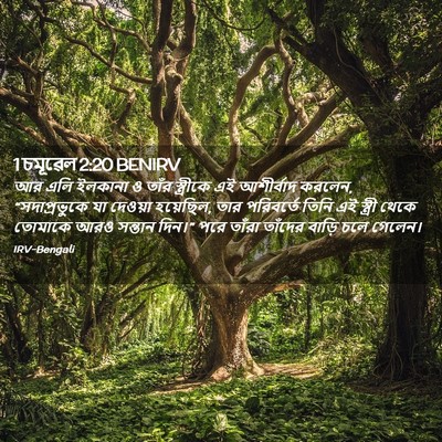 Picture 02 - 1 চমূৱেল 2:20 BENIRV - আর এলি ইলকানা ও - Bible Verse Picture
