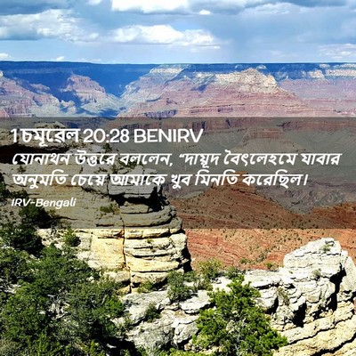 Picture 02 - 1 চমূৱেল 20:28 BENIRV - যোনাথন উত্তরে - Bible Verse Picture