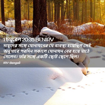 Picture 02 - 1 চমূৱেল 20:35 BENIRV - দায়ূদের সঙ্গে - Bible Verse Picture