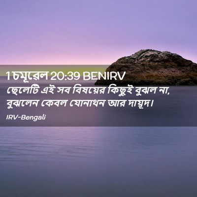 Picture 02 - 1 চমূৱেল 20:39 BENIRV - ছেলেটি এই সব - Bible Verse Picture