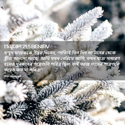 Picture 02 - 1 চমূৱেল 21:5 BENIRV - দায়ূদ যাজককে - Bible Verse Picture