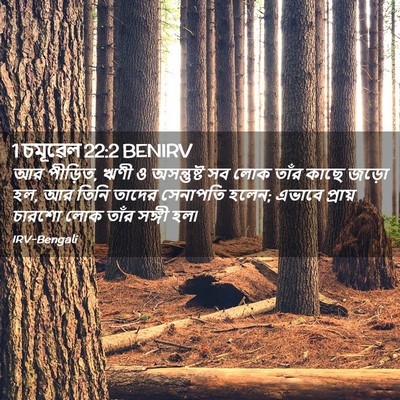 Picture 02 - 1 চমূৱেল 22:2 BENIRV - আর পীড়িত, ঋণী ও - Bible Verse Picture