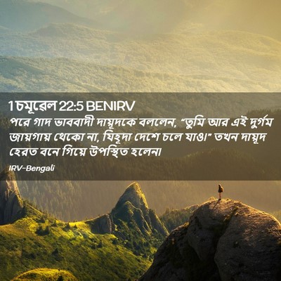 Picture 02 - 1 চমূৱেল 22:5 BENIRV - পরে গাদ ভাববাদী - Bible Verse Picture