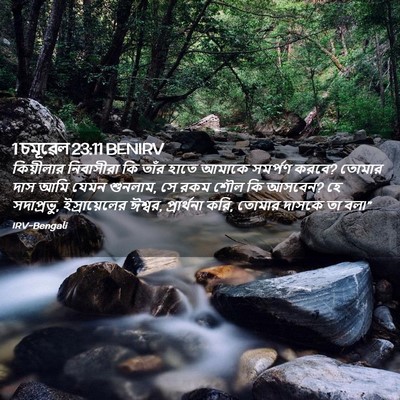 Picture 02 - 1 চমূৱেল 23:11 BENIRV - কিয়ীলার নিবাসীরা - Bible Verse Picture