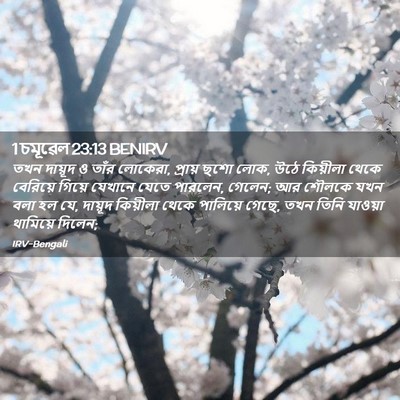 Picture 02 - 1 চমূৱেল 23:13 BENIRV - তখন দায়ূদ ও তাঁর - Bible Verse Picture