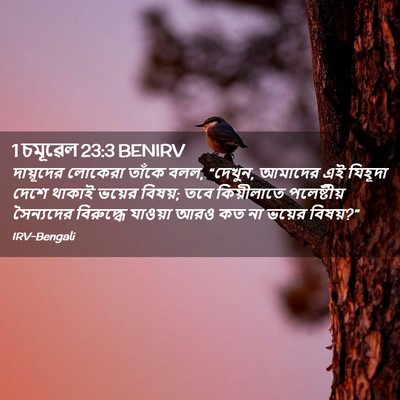 Picture 02 - 1 চমূৱেল 23:3 BENIRV - দায়ূদের লোকেরা - Bible Verse Picture