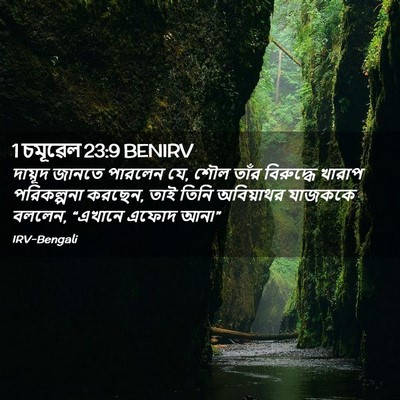 Picture 02 - 1 চমূৱেল 23:9 BENIRV - দায়ূদ জানতে - Bible Verse Picture