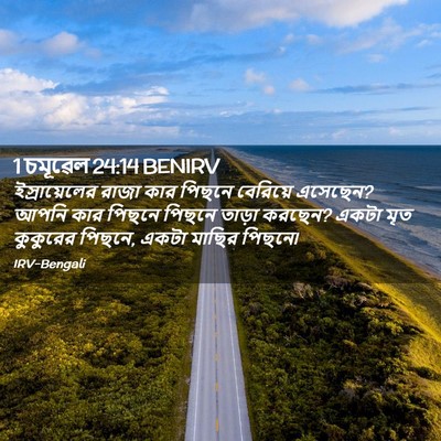 Picture 02 - 1 চমূৱেল 24:14 BENIRV - ইস্রায়েলের রাজা - Bible Verse Picture