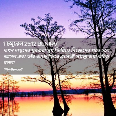 Picture 02 - 1 চমূৱেল 25:12 BENIRV - তখন দায়ূদের - Bible Verse Picture