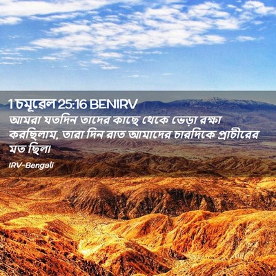 Picture 02 - 1 চমূৱেল 25:16 BENIRV - আমরা যতদিন তাদের - Bible Verse Picture