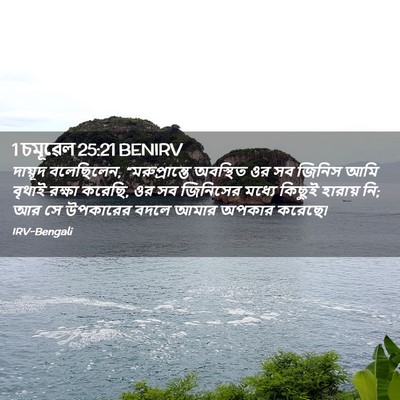 Picture 02 - 1 চমূৱেল 25:21 BENIRV - দায়ূদ বলেছিলেন, - Bible Verse Picture