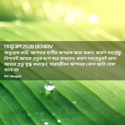 Picture 02 - 1 চমূৱেল 25:28 BENIRV - অনুরোধ করি, আপনার - Bible Verse Picture