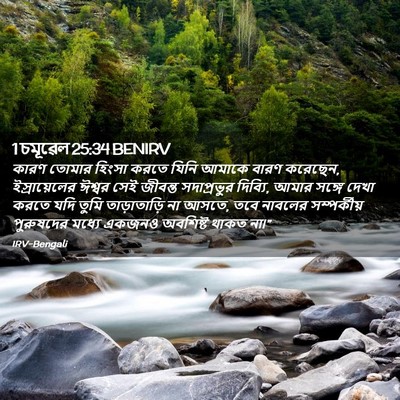 Picture 02 - 1 চমূৱেল 25:34 BENIRV - কারণ তোমার হিংসা - Bible Verse Picture