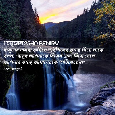 Picture 02 - 1 চমূৱেল 25:40 BENIRV - দায়ূদের দাসরা - Bible Verse Picture