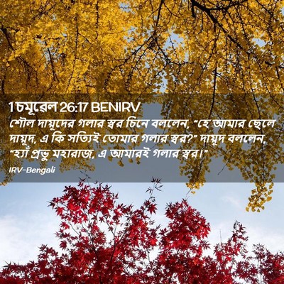 Picture 02 - 1 চমূৱেল 26:17 BENIRV - শৌল দায়ূদের গলার - Bible Verse Picture