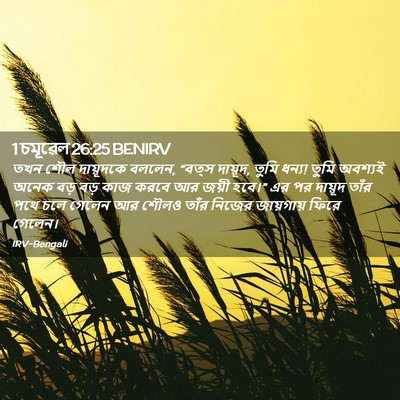 Picture 02 - 1 চমূৱেল 26:25 BENIRV - তখন শৌল দায়ূদকে - Bible Verse Picture