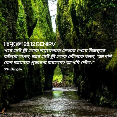 Picture 02 - 1 চমূৱেল 28:12 BENIRV - পরে সেই স্ত্রী লোক - Bible Verse Picture