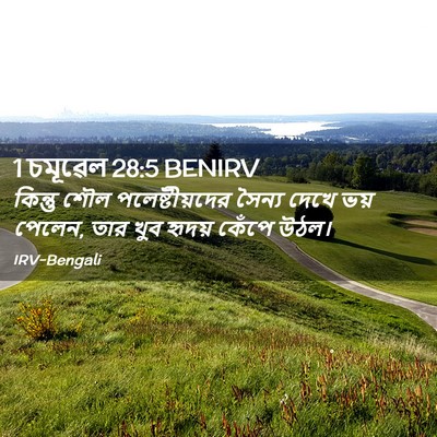 Picture 02 - 1 চমূৱেল 28:5 BENIRV - কিন্তু শৌল - Bible Verse Picture