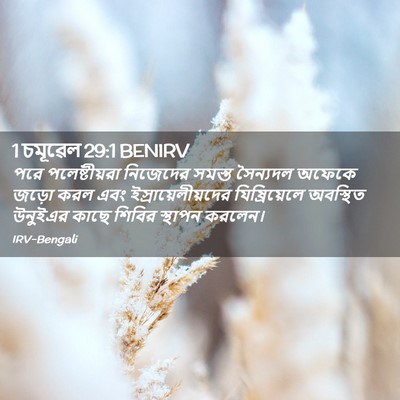 Picture 02 - 1 চমূৱেল 29:1 BENIRV - পরে পলেষ্টীয়রা - Bible Verse Picture