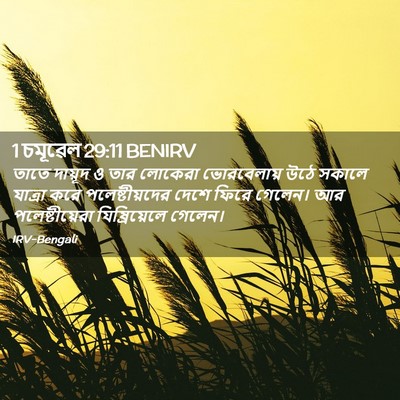 Picture 02 - 1 চমূৱেল 29:11 BENIRV - তাতে দায়ূদ ও তার - Bible Verse Picture