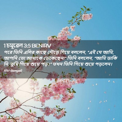 Picture 02 - 1 চমূৱেল 3:5 BENIRV - পরে তিনি এলির কাছে - Bible Verse Picture