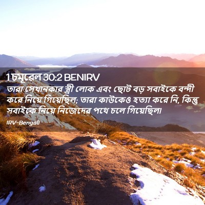 Picture 02 - 1 চমূৱেল 30:2 BENIRV - তারা সেখানকার - Bible Verse Picture