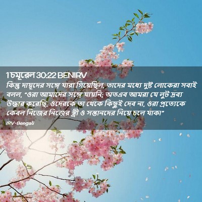 Picture 02 - 1 চমূৱেল 30:22 BENIRV - কিন্তু দায়ূদের - Bible Verse Picture