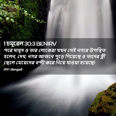 Picture 02 - 1 চমূৱেল 30:3 BENIRV - পরে দায়ূদ ও তার - Bible Verse Picture