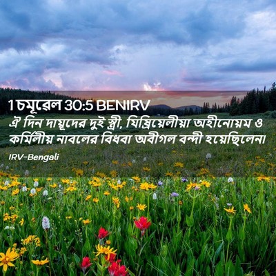 Picture 02 - 1 চমূৱেল 30:5 BENIRV - ঐ দিন দায়ূদের দুই - Bible Verse Picture