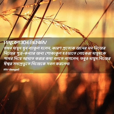Picture 02 - 1 চমূৱেল 30:6 BENIRV - তখন দায়ূদ খুব - Bible Verse Picture