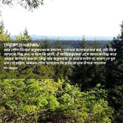 Picture 02 - 1 চমূৱেল 31:4 BENIRV - আর শৌল নিজের - Bible Verse Picture