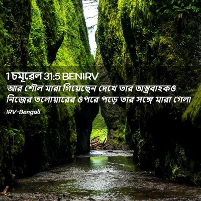 Picture 02 - 1 চমূৱেল 31:5 BENIRV - আর শৌল মারা - Bible Verse Picture