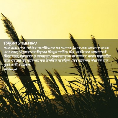Picture 02 - 1 চমূৱেল 5:11 BENIRV - পরে তারা লোক - Bible Verse Picture