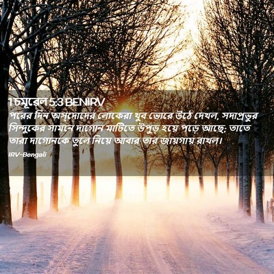 Picture 02 - 1 চমূৱেল 5:3 BENIRV - পরের দিন - Bible Verse Picture