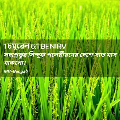 Picture 02 - 1 চমূৱেল 6:1 BENIRV - সদাপ্রভুর সিন্দুক - Bible Verse Picture
