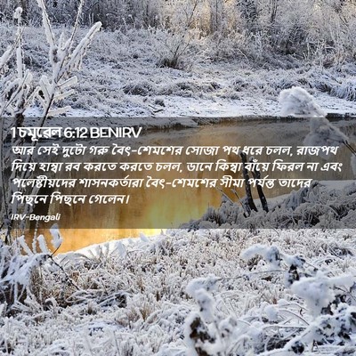 Picture 02 - 1 চমূৱেল 6:12 BENIRV - আর সেই দুটো গরু - Bible Verse Picture