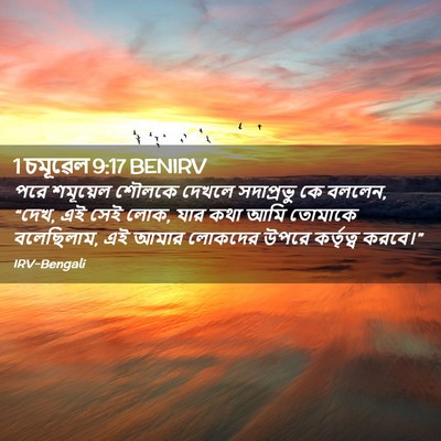 Picture 02 - 1 চমূৱেল 9:17 BENIRV - পরে শমূয়েল শৌলকে - Bible Verse Picture