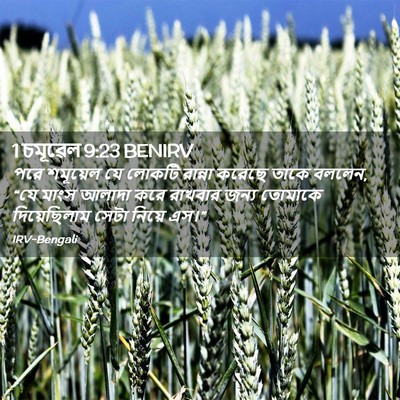 Picture 02 - 1 চমূৱেল 9:23 BENIRV - পরে শমূয়েল যে - Bible Verse Picture