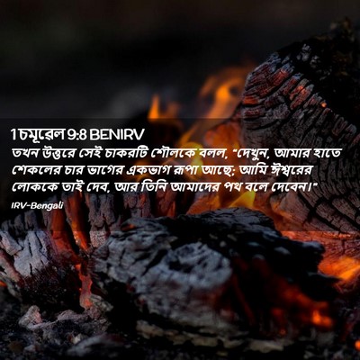 Picture 02 - 1 চমূৱেল 9:8 BENIRV - তখন উত্তরে সেই - Bible Verse Picture