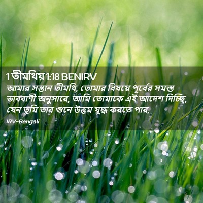 Picture 02 - 1 তীমথিয় 1:18 BENIRV - আমার সন্তান তীমথি, - Bible Verse Picture