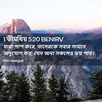 Picture 02 - 1 তীমথিয় 5:20 BENIRV - যারা পাপ করে, - Bible Verse Picture